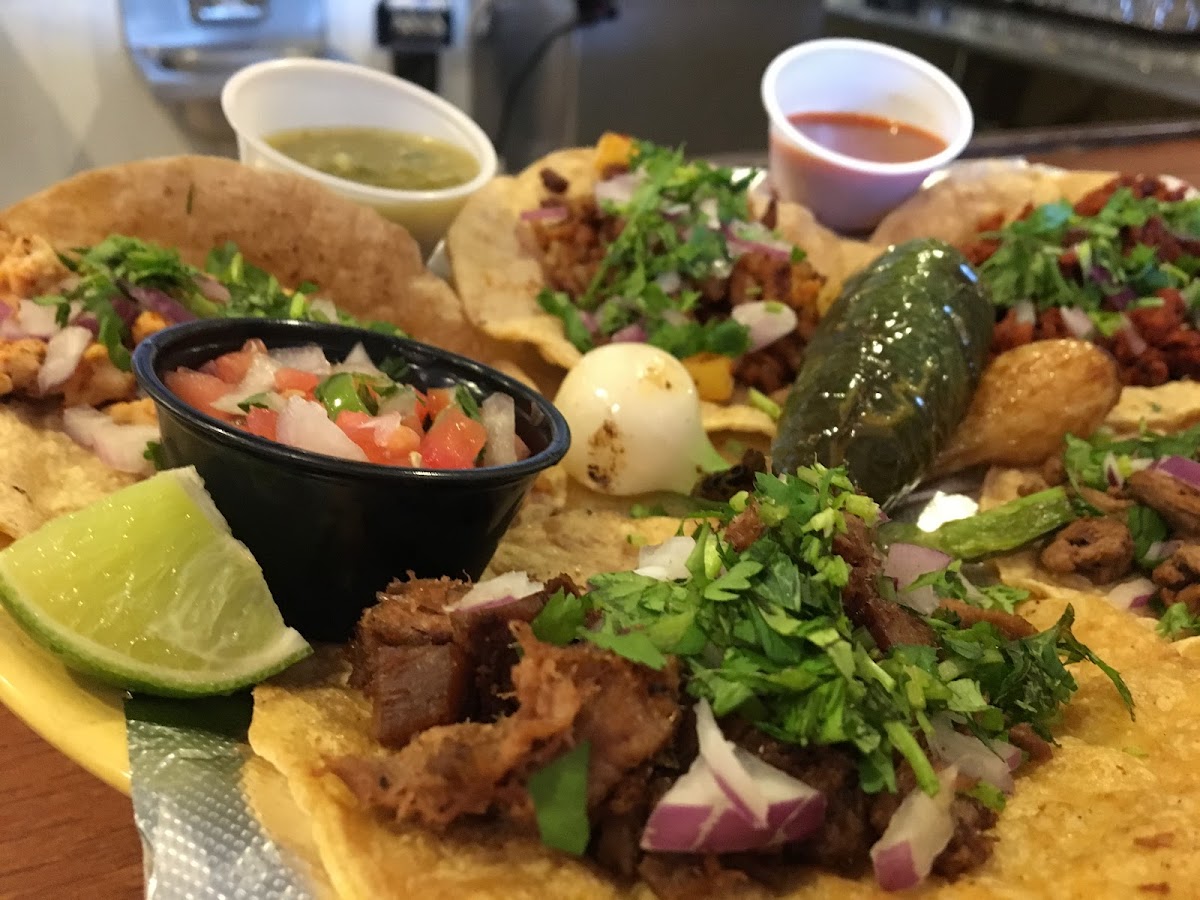 Chapala Mexican Restaurant Photo 3