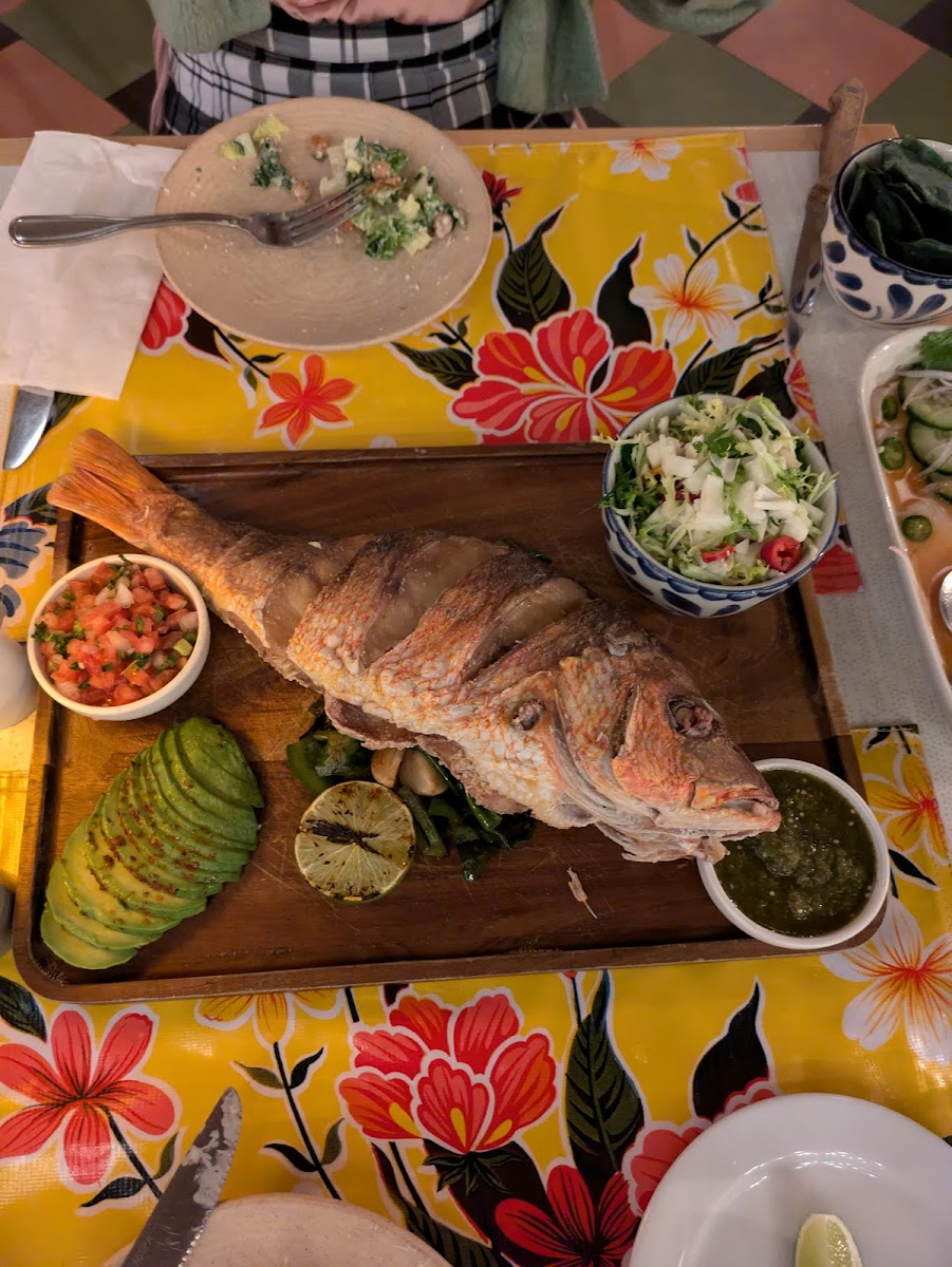 Lolo's Surf Cantina Photo 10