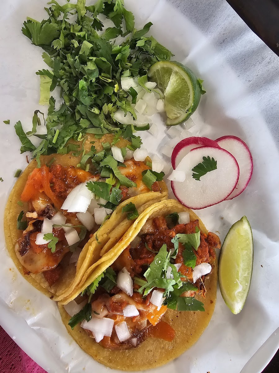 La Salsa Verde Taquería Photo 4