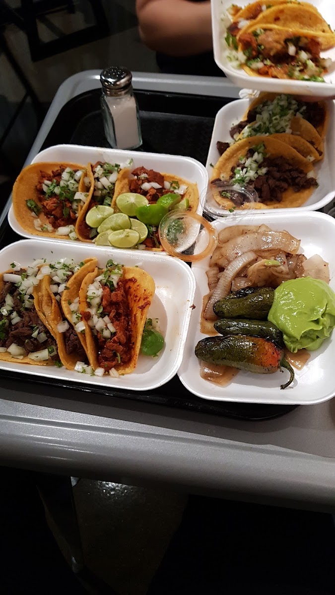 Tacos Calafia Photo 10