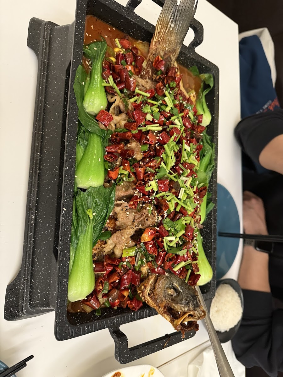 The Best Sichuan 一品成都21 Photo 6