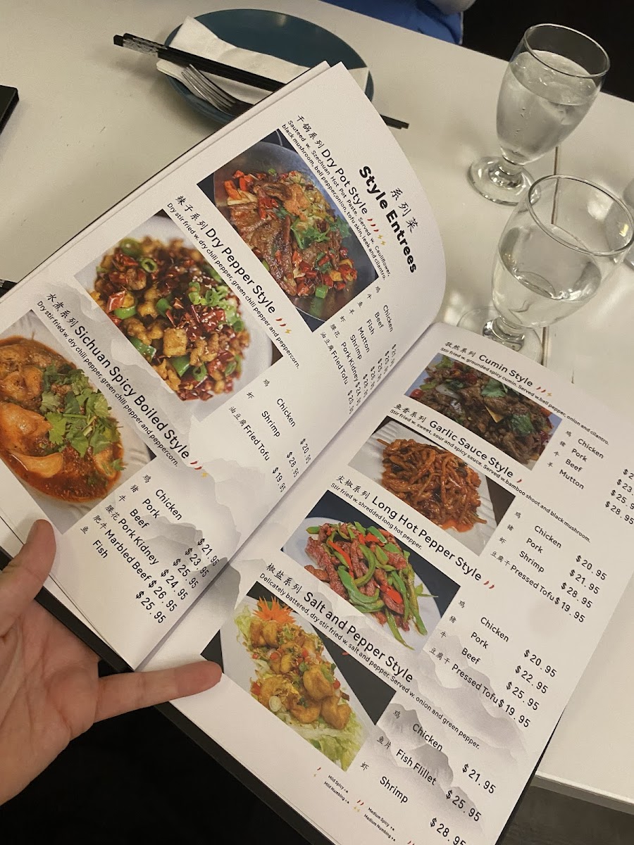 The Best Sichuan 一品成都21 Photo Menu 10