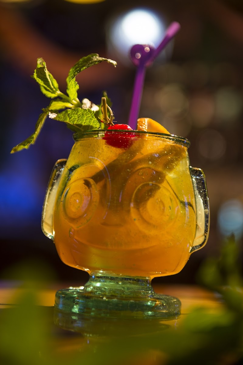 Trader Sam's Grog Grotto Photo 4