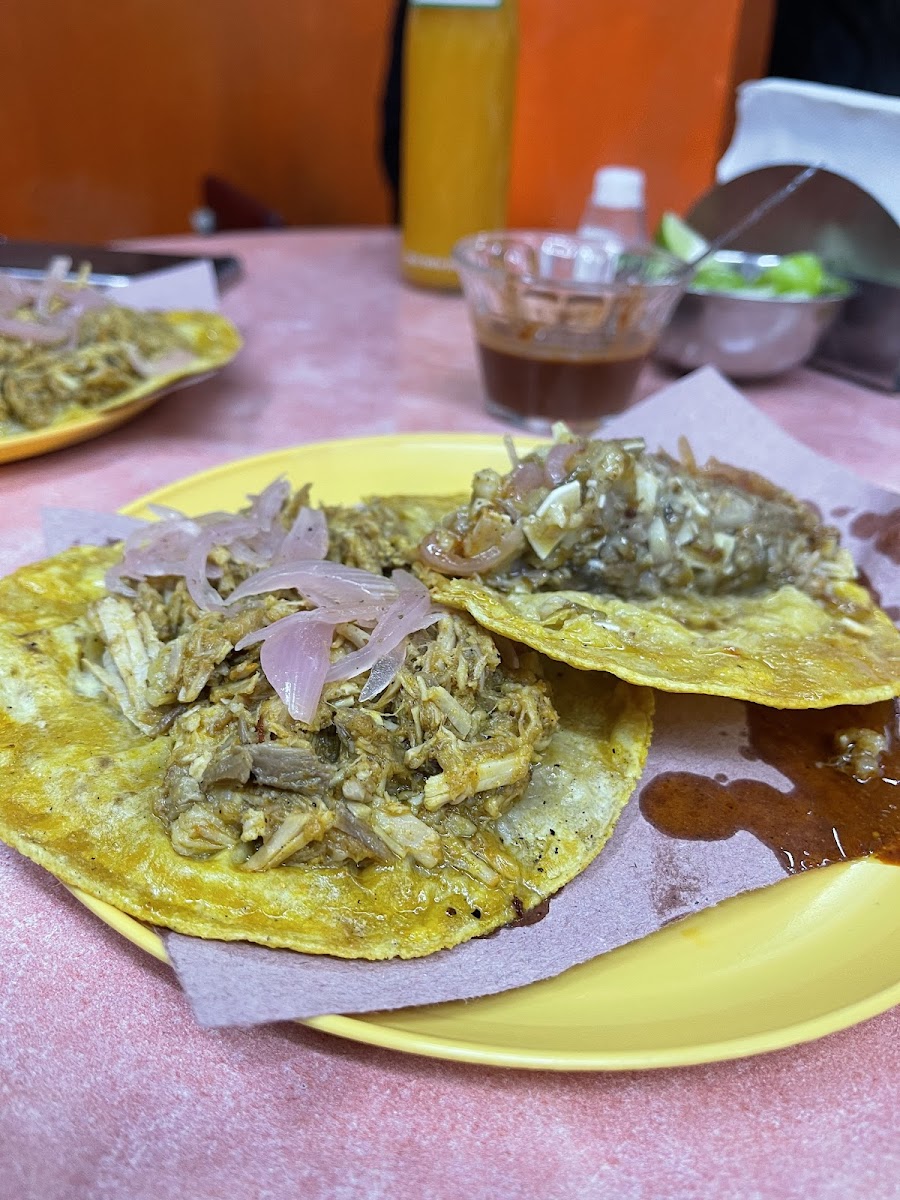 Tacos De Cochinita Pibil 'Don Javier' Photo 6