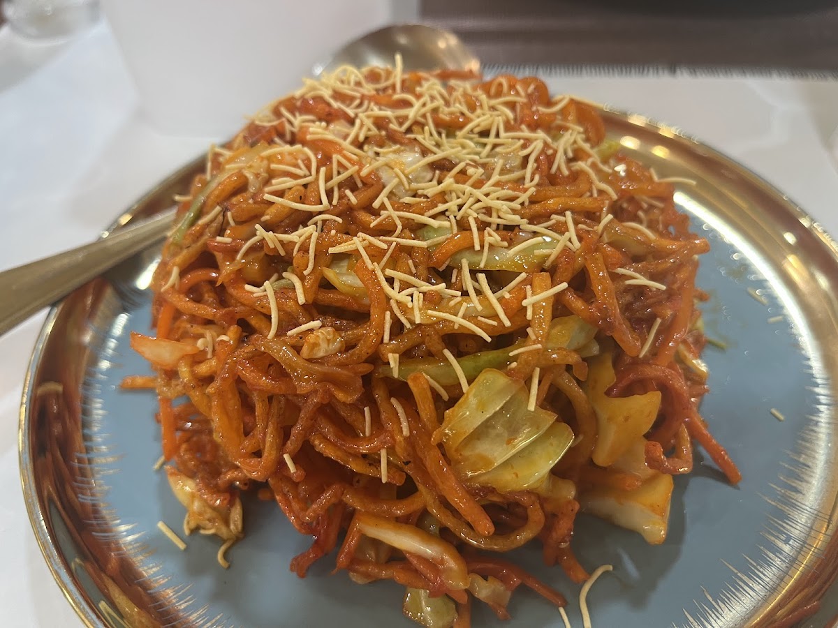 Maa Pure Vegetarian Indian Restaurant Photo 6