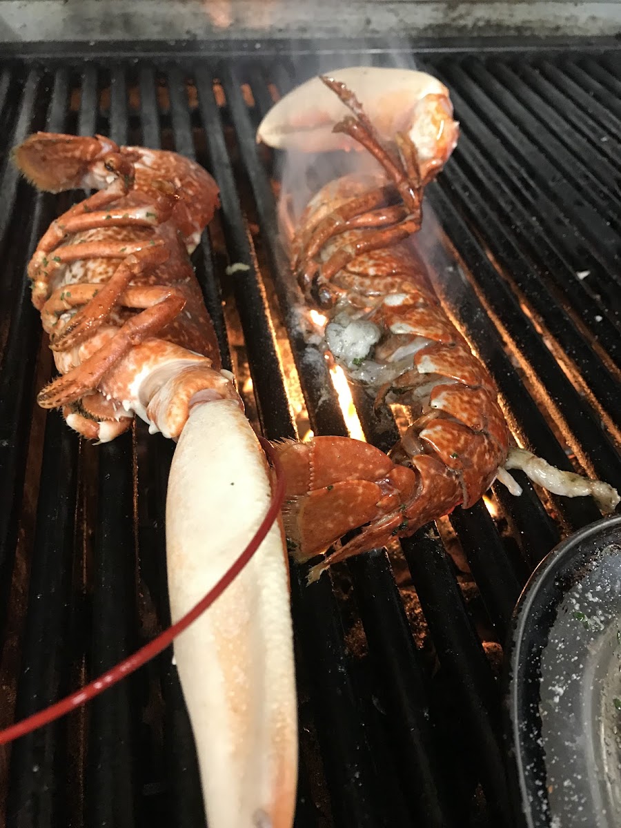 Sea Bass Restaurant Photo 10