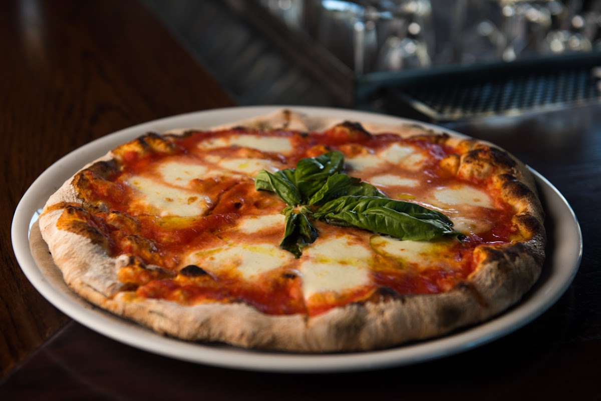 Forno 301 Photo 3