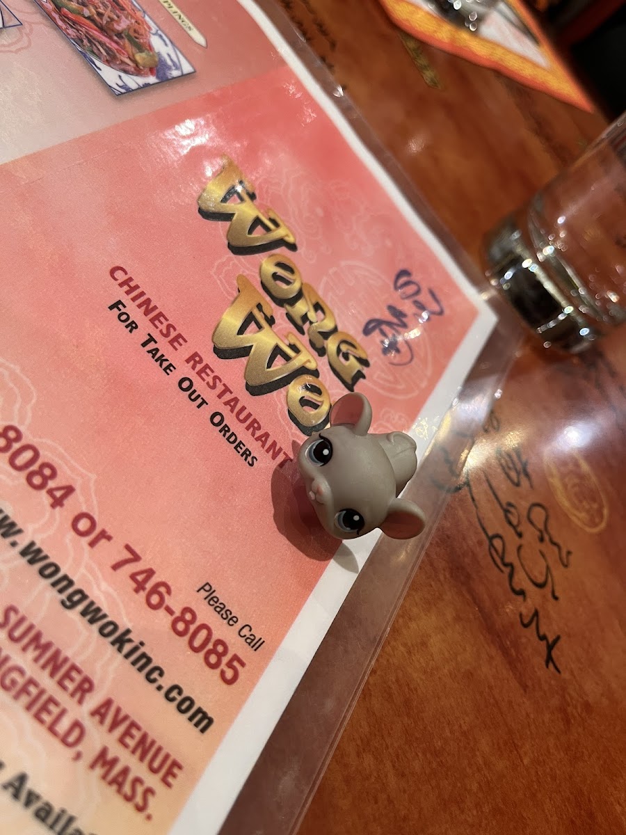 Wong Wok Restaurant Photo Menu 5