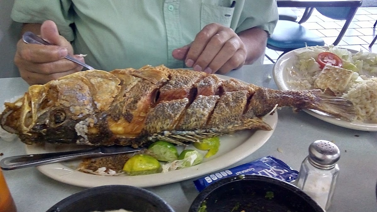 Restaurant El Puerto Photo 5