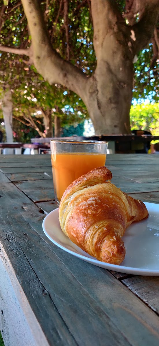 Garden Café Photo 10