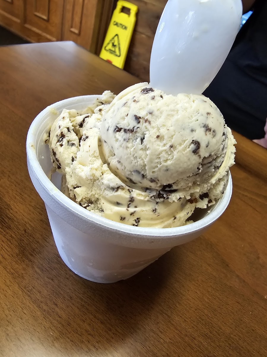 Village Ice Cream & Cafe Photo 2