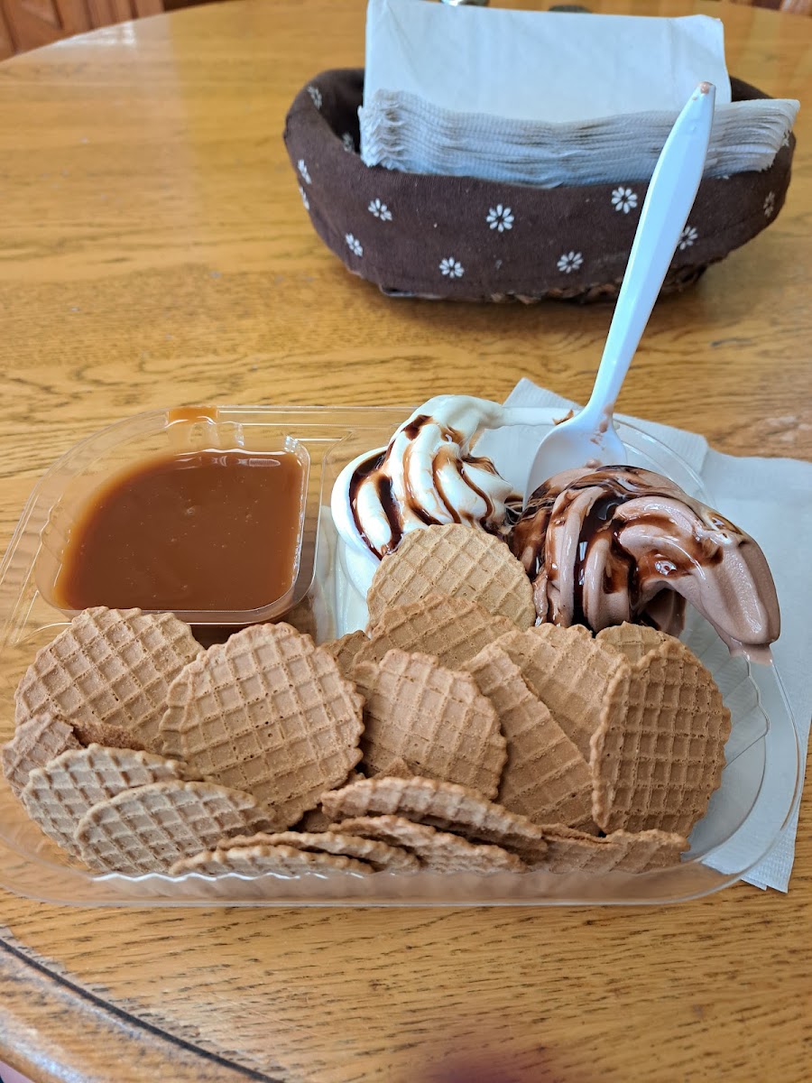 Village Ice Cream & Cafe Photo 6