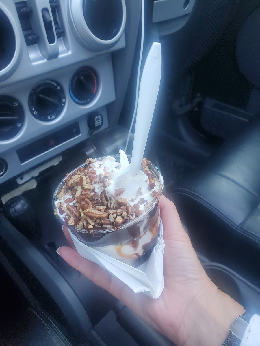 Village Ice Cream & Cafe Photo 7