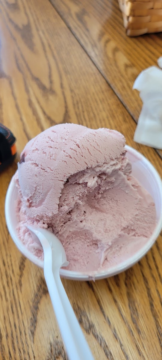 Village Ice Cream & Cafe Photo 8
