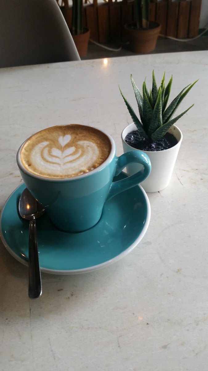 Beryl Coffee Photo 5