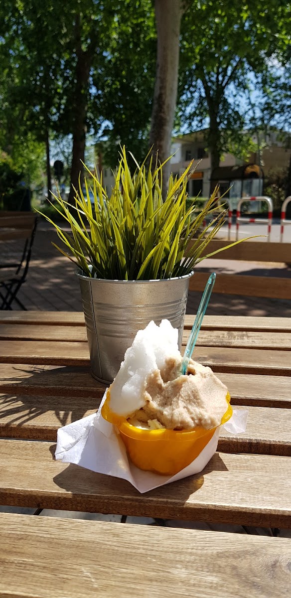 BioGelato Photo 7