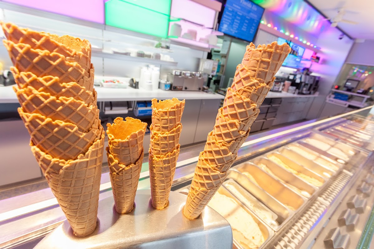 Florida Eis green Photo 3