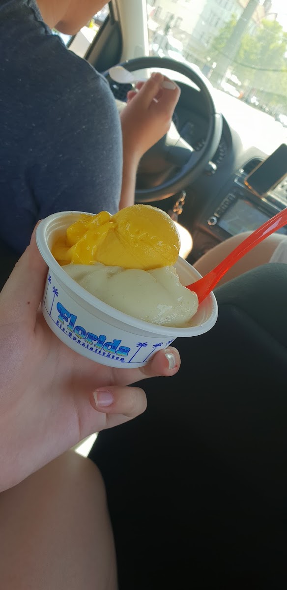 Florida Eis green Photo 7