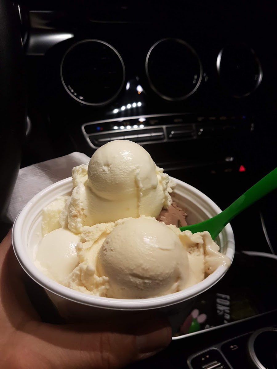 Florida Eis green Photo 8
