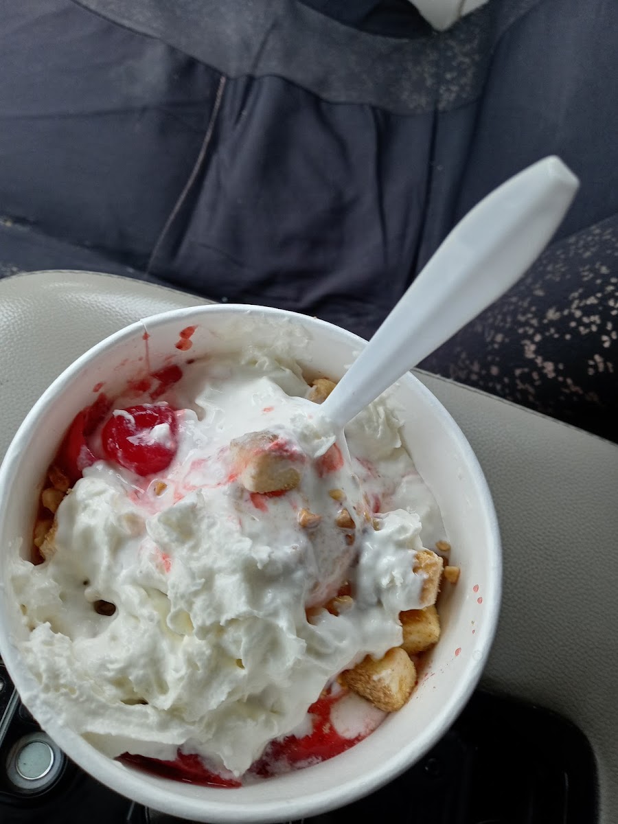 Willyums Dari Fair Photo 6