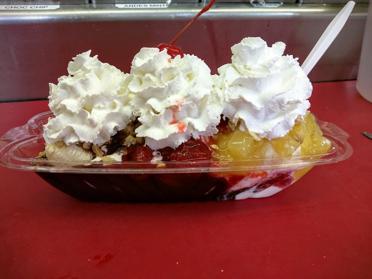 Willyums Dari Fair Photo 8