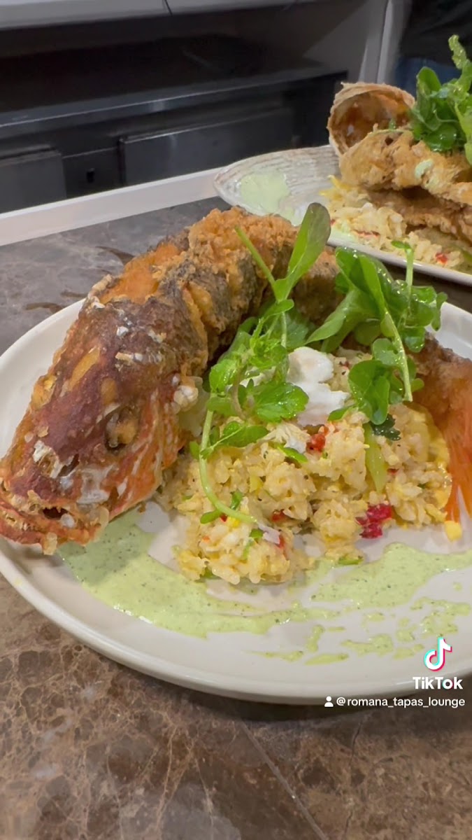 Romana European Tapas Photo 2