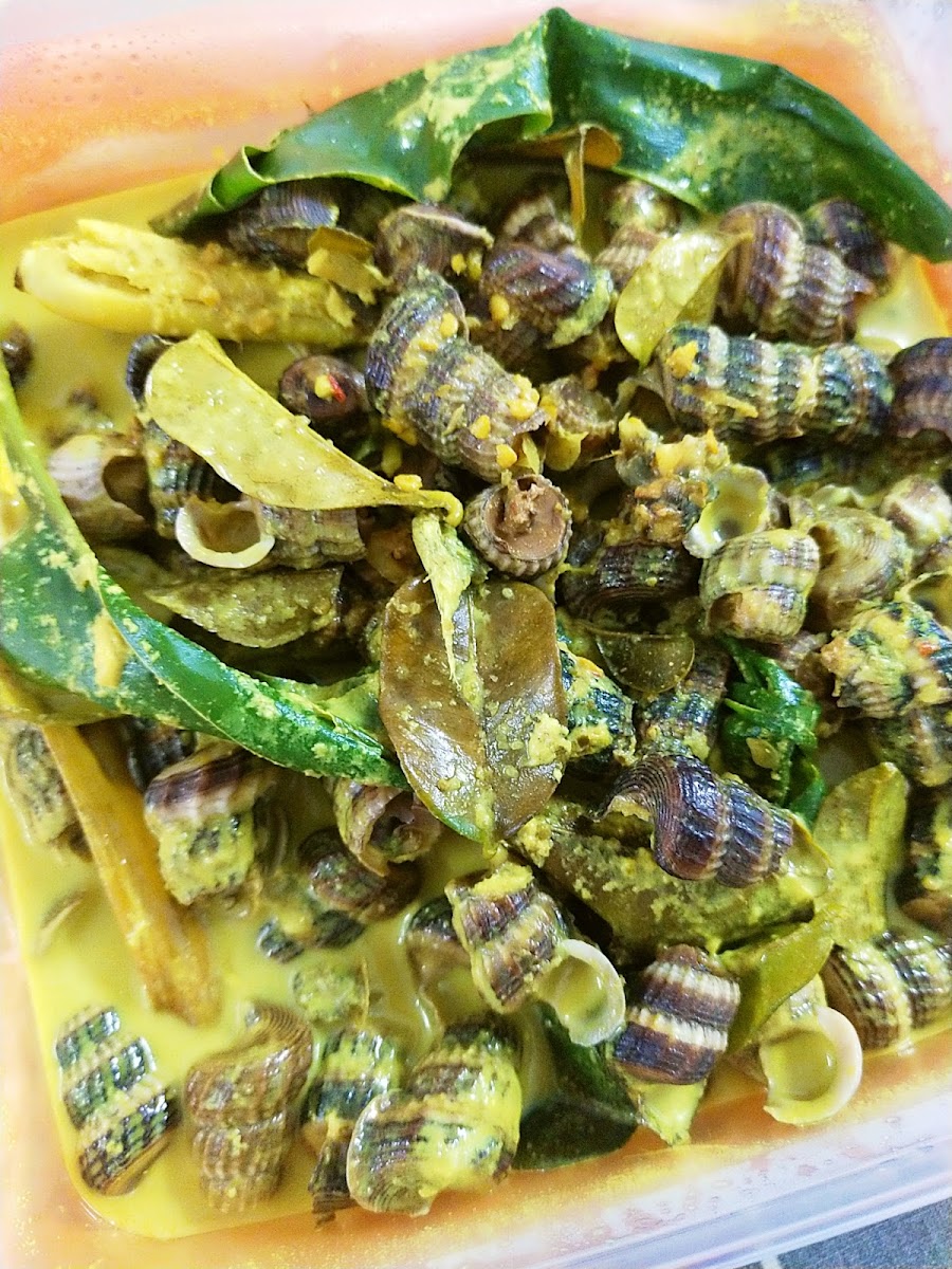 SODOX ASAM PEDAS Photo 7