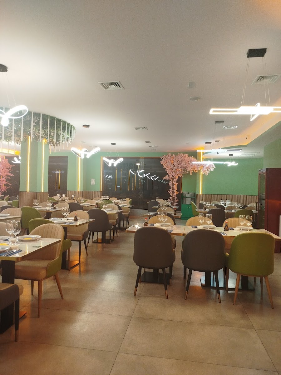 RESTAURANTE KISHIN SUSHI Photo 7