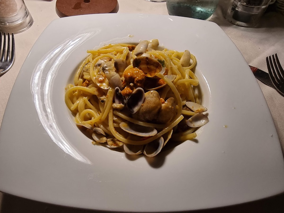 Pepe Nero Photo 10