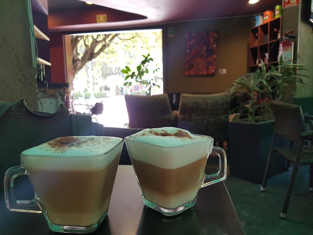 South Cafe Photo 5