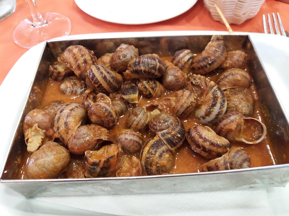 Bo de Bo Photo 5
