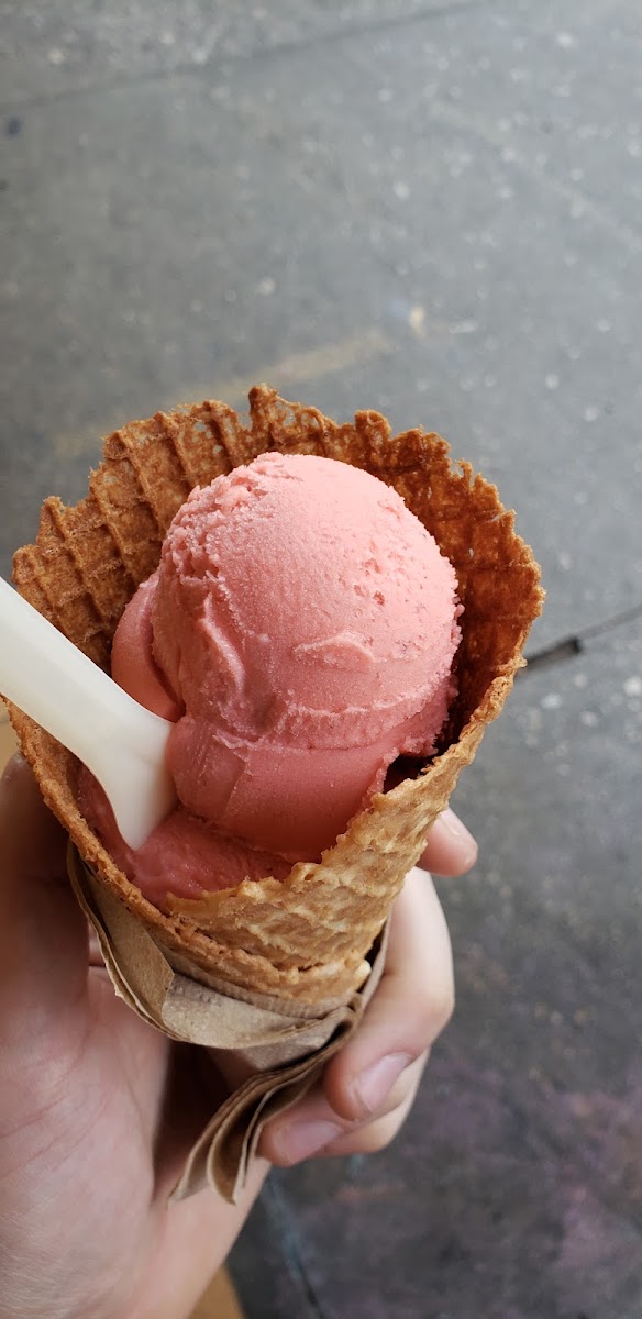 Bottega Gelato Photo 10