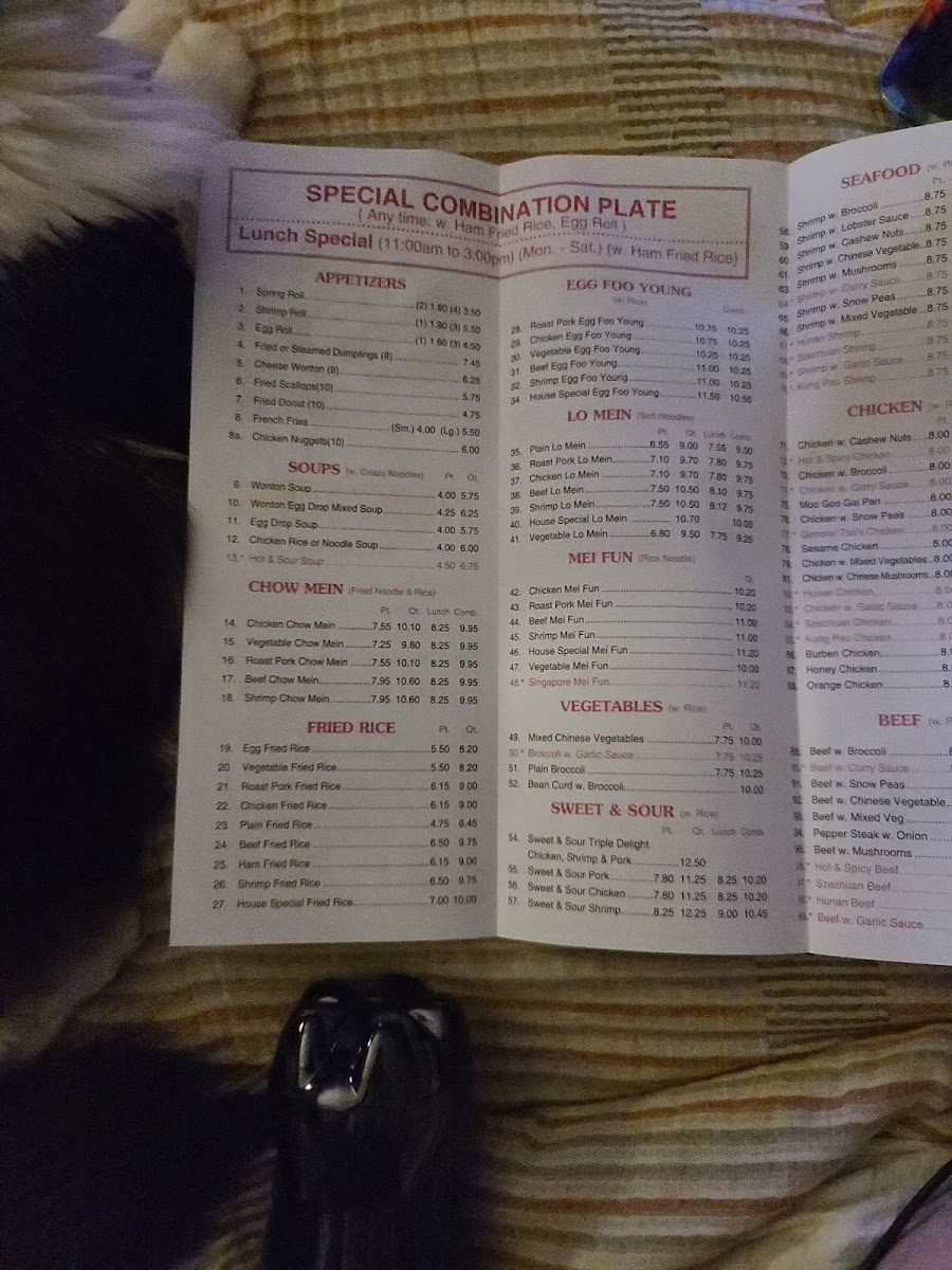 Yummy yummy Photo Menu 5