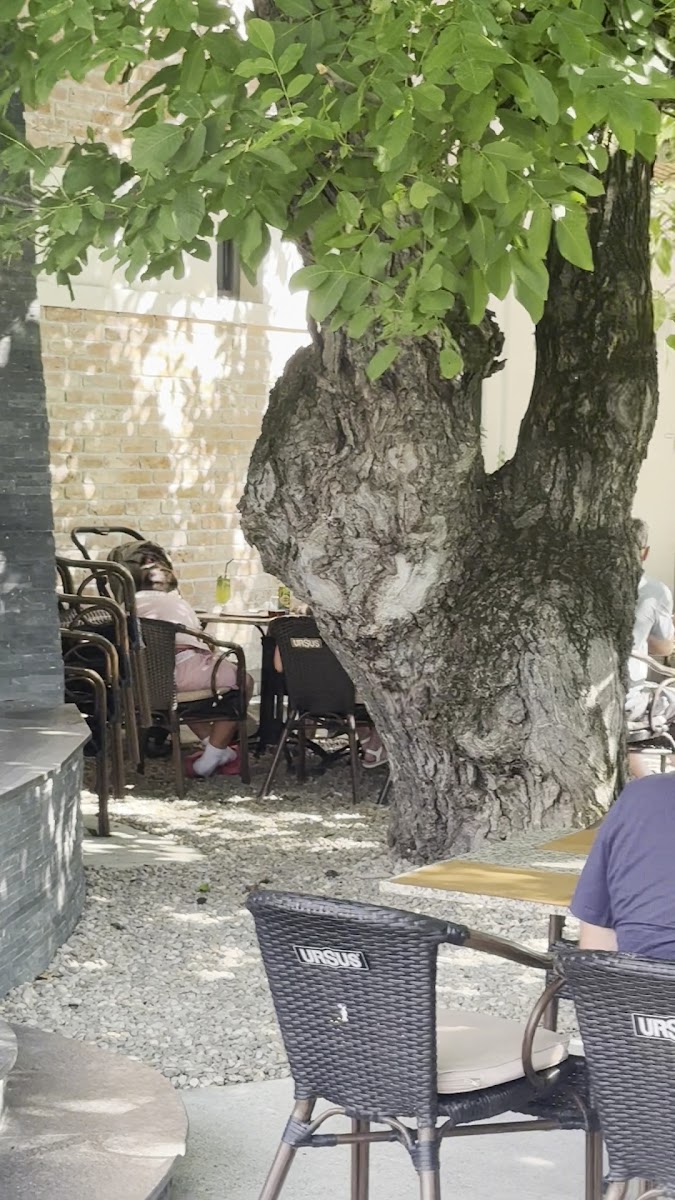 RESTAURANT BROTĂCEI Photo 2