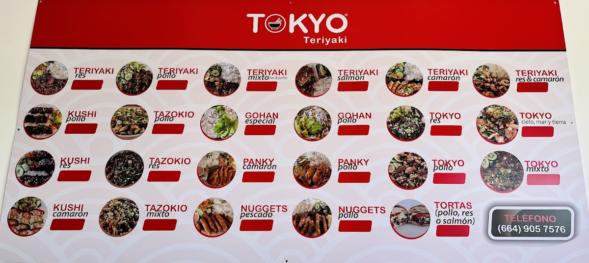 Tokyo Teriyaki Photo Menu 1