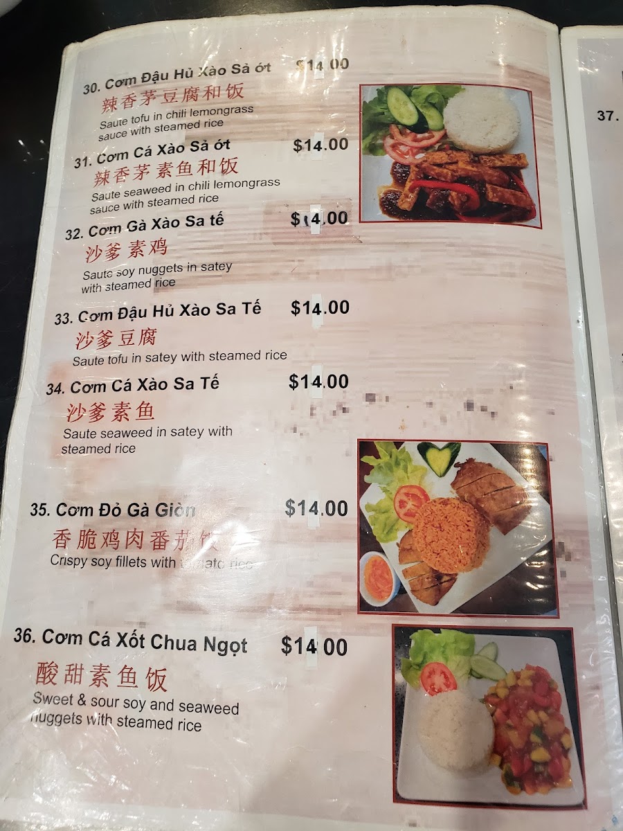Simple Asian Vegetarian Cuisine Photo Menu 4