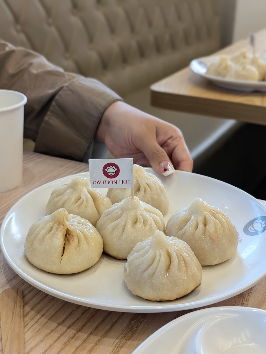 Dumpling Gyoza Photo 3