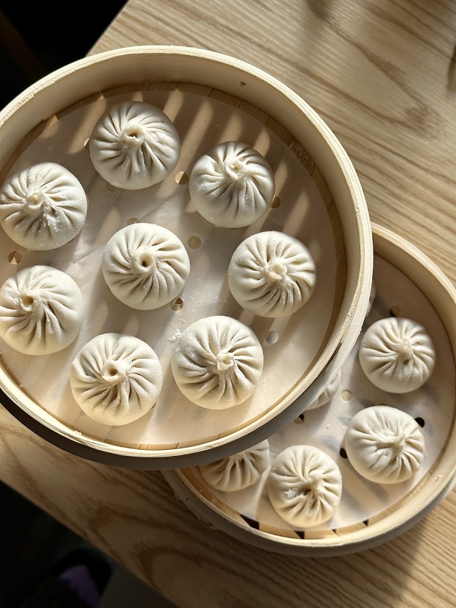 Dumpling Gyoza Photo 5