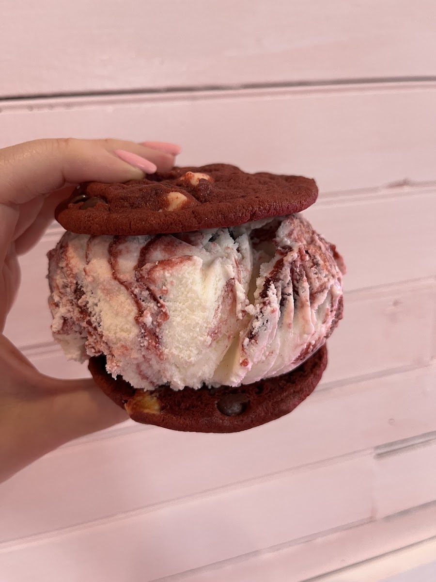 Lexylicious Ice Cream Cafe | New Jersey Photo 9