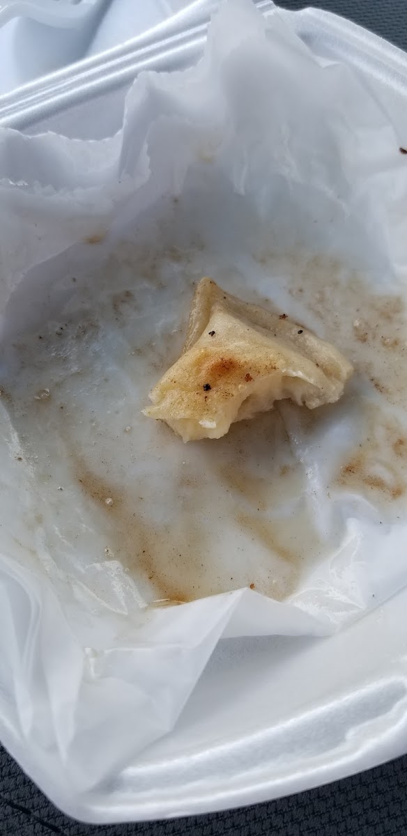 Pierogi Square @ JAXS Photo 6