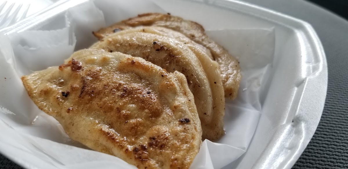 Pierogi Square @ JAXS Photo 7