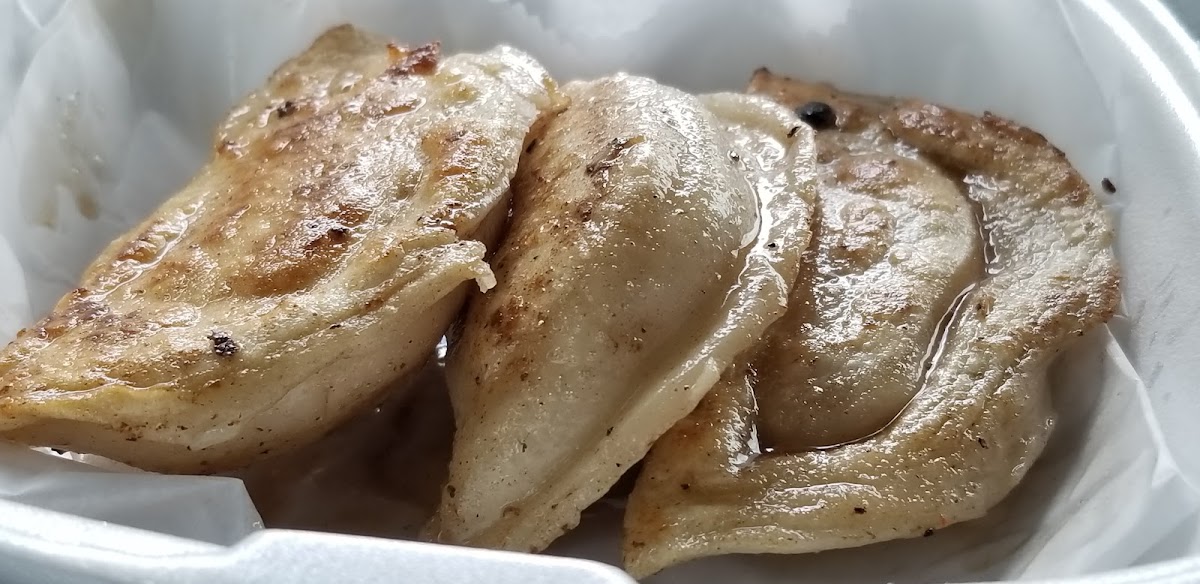 Pierogi Square @ JAXS Photo 9