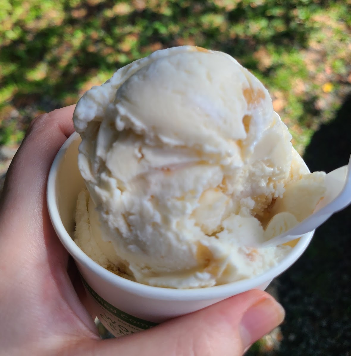 Milkhouse Ice Cream Photo 10