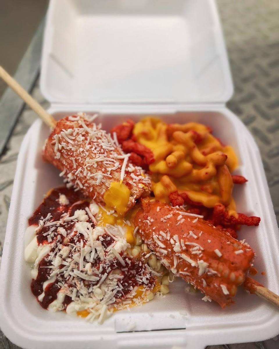 Elotes el Regio Photo 3