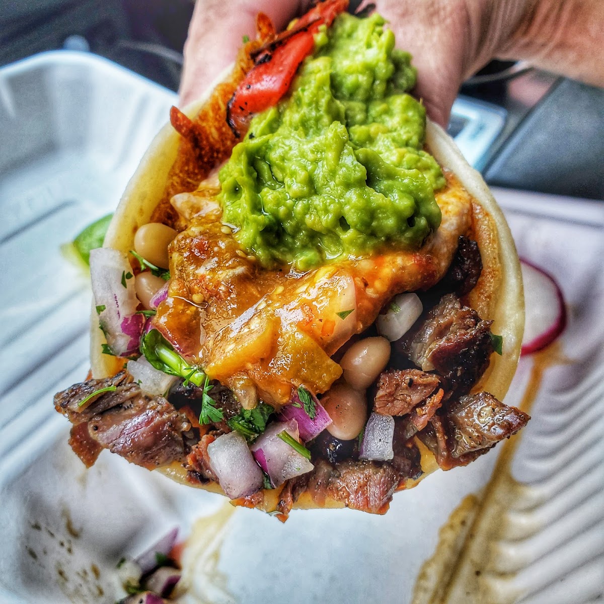 Perro tacos Photo 10