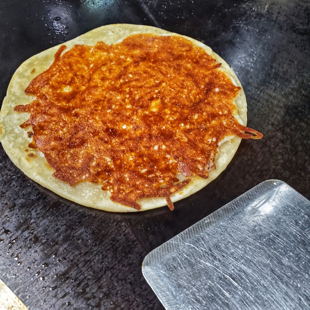 Perro tacos Photo 9