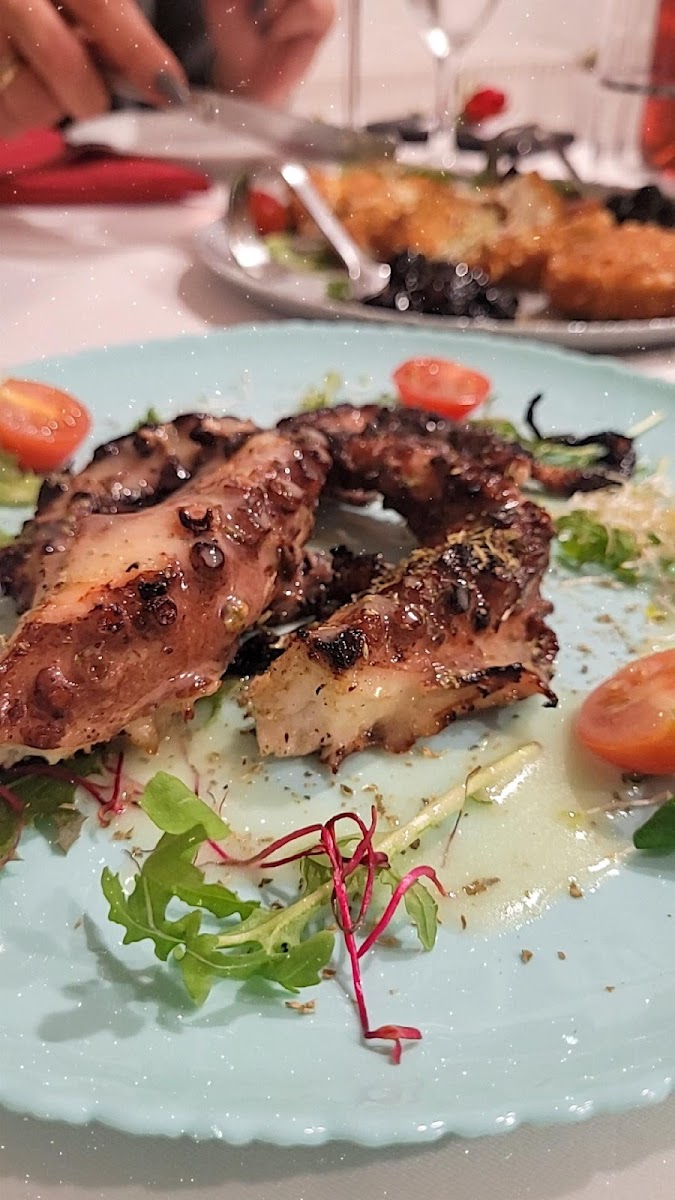 Rose Tandoori Restaurant Photo 10