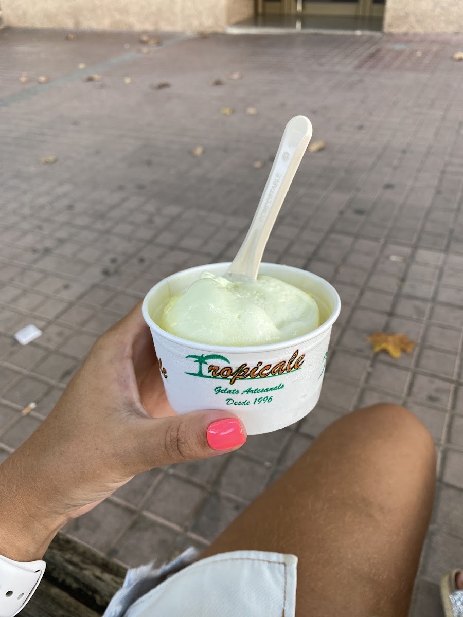 Tropicale Photo 8
