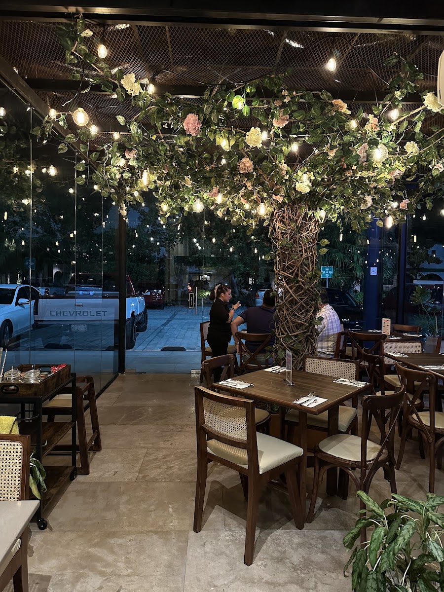 AMADA MÍA BISTRO CAFÉ ÁRBOL Photo 7
