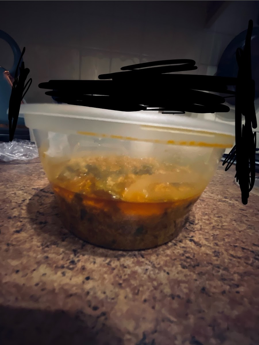 Stella's Kitchen Photo 8